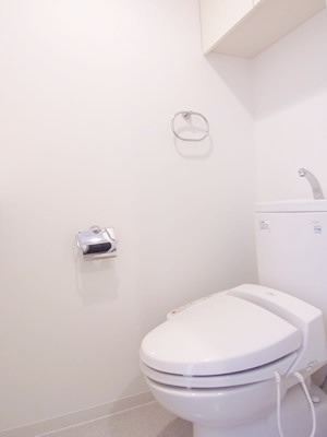 Toilet. Shower toilet