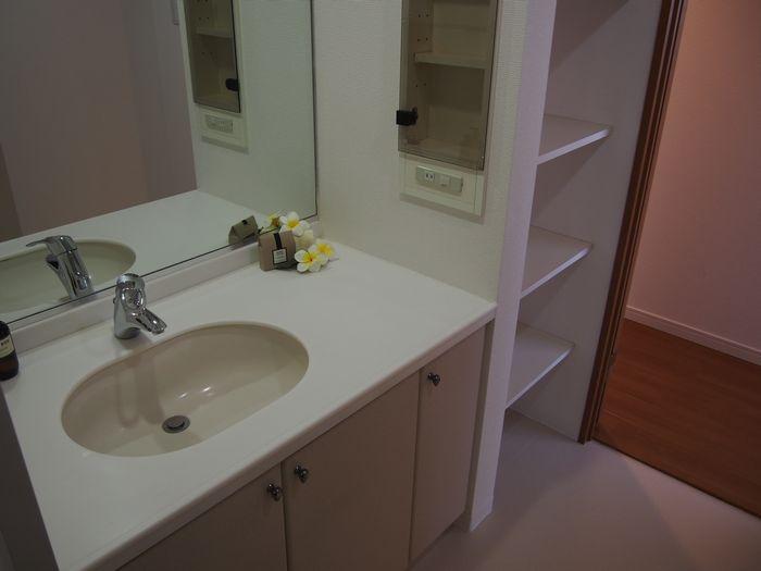 Wash basin, toilet. Indoor (12 May 2013) Shooting
