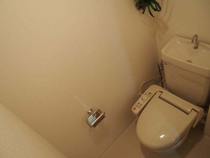 Toilet. Indoor (12 May 2013) Shooting