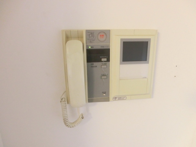 Security. Interphone with a monitor