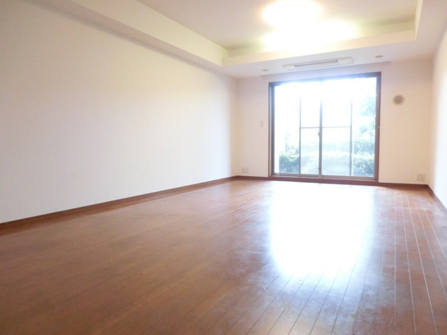 Living and room. Living