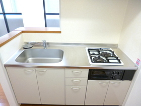 Kitchen. Gas two-burner system Kitchen