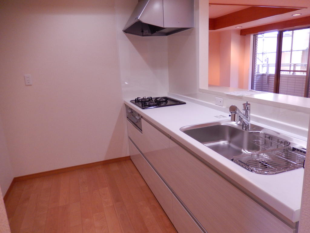 Other. Easy-to-use counter-type kitchen