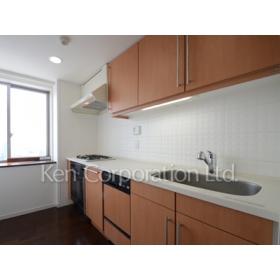 Kitchen. Shoot the same type the 23rd floor of the room. Specifications may be different.