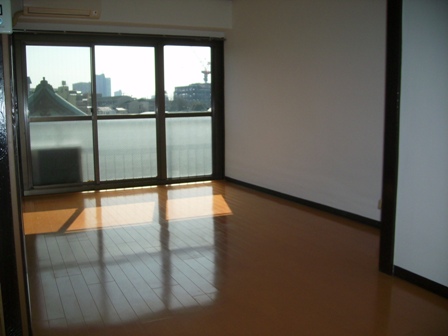 Living and room. Room 2