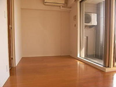 Living and room. Bright Western-style (flooring)