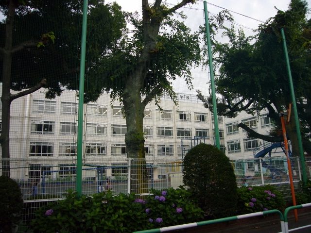 Primary school. 624m to Shinjuku Ward Ochiai third elementary school (elementary school)