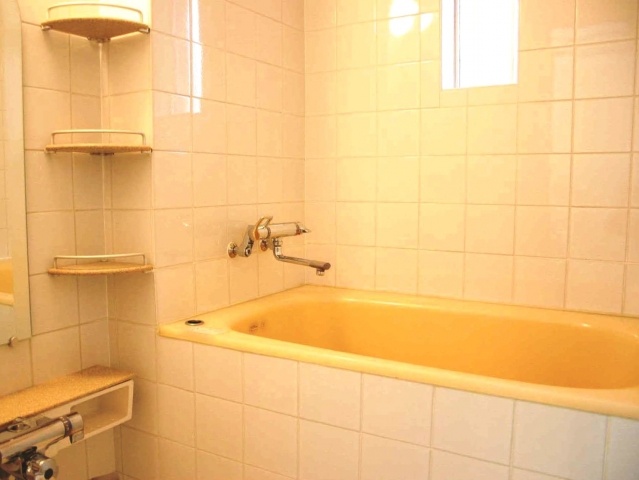 Bath. Reversal type Sanko photo