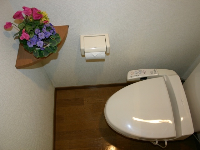 Toilet. Reversal type Sanko photo