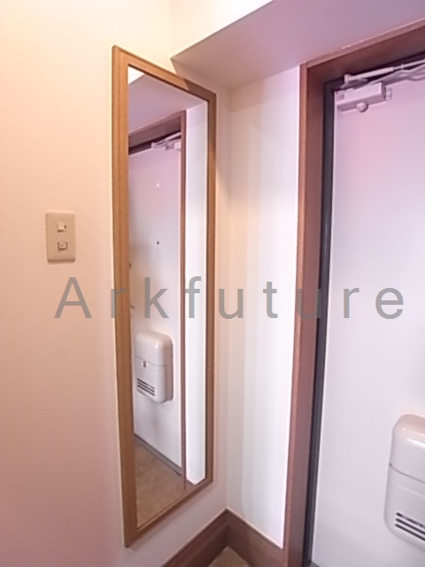 Other Equipment. You can grooming check before going out! 