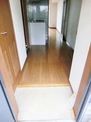 Entrance. From the front door ...