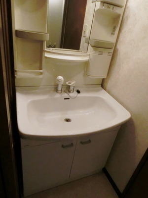 Washroom. Independent wash basin