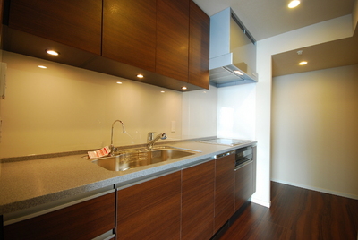 Kitchen. It utilizes a photograph of the same building, It might differ from the actual. 