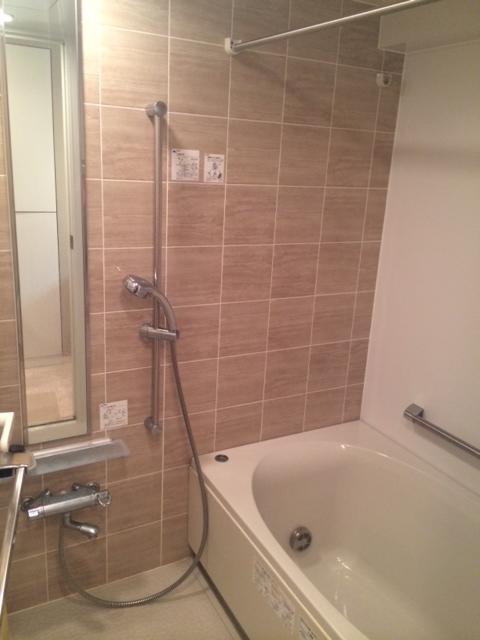 Bathroom. Indoor (12 May 2013) Shooting