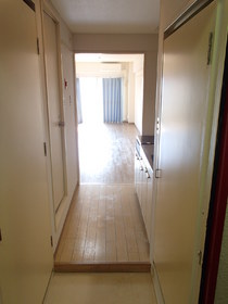 Entrance. From the entrance part