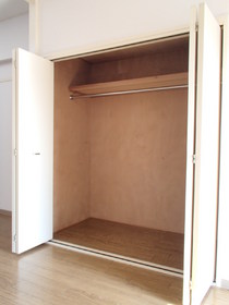 Other. It is spacious closet