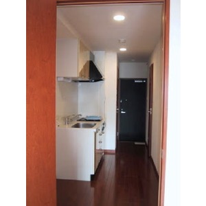 Kitchen. The room is a picture of the same type. 