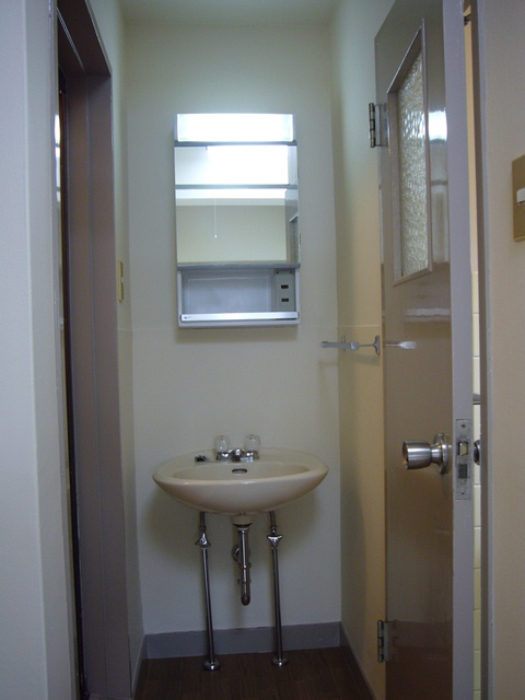 Washroom. Wash basin