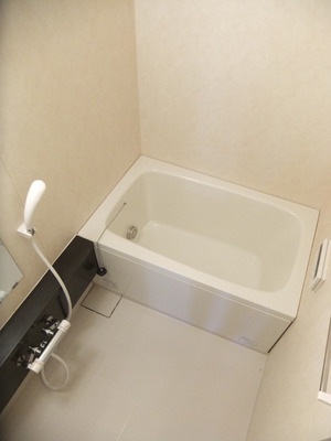 Bath. Add-fired function with bus