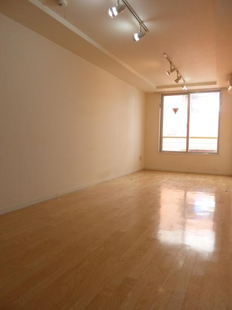 Living and room. With movable spotlight