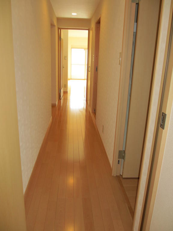 Other room space. Landscape towards the living room from the back of the room