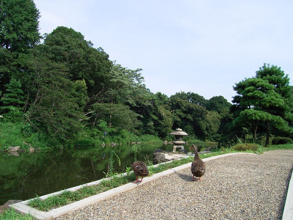 park. Shinjuku Gyoen