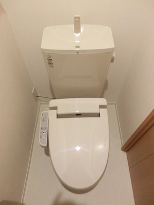 Toilet. Cleaning function toilet