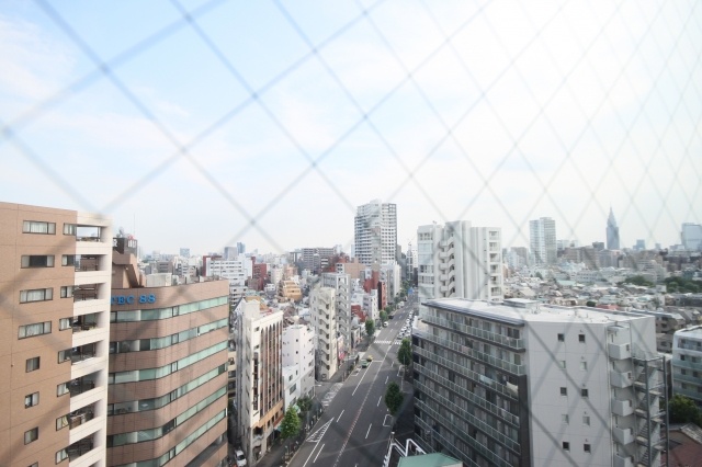 View. Tower Residence Yotsuya 1102