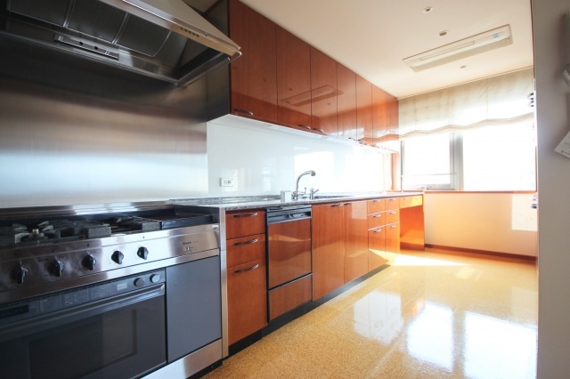 Kitchen. Tower Residence Yotsuya 1102