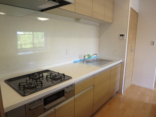 Kitchen. Indoor (12 May 2013) Shooting