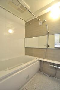 Bathroom. Indoor (11 May 2013) Shooting