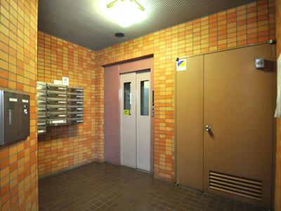 Entrance. Common areas