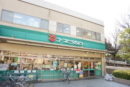 Other. KopuTokyo (super) 650m