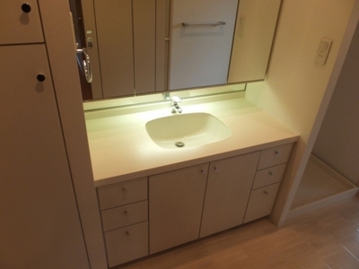 Washroom. Independent wash basin