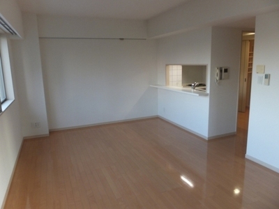 Other room space. Spacious living room of the two-sided lighting