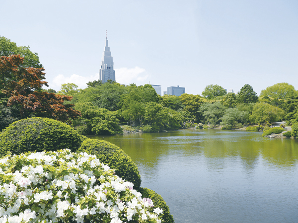 Surrounding environment. Lush park, yet the city center ・ Cultural facilities are enriched. Shinjuku Gyoen was born in 1906 (1906). It is said to Meien of modern Western garden in Japan, Garden you can enjoy the feature overflowing style. Also, In the attractions of the cherry blossoms that have been selected in Japan Sakura attractions 100 election, It is crowded with a lot of people in the spring. (Shinjuku Gyoen / 8 min. Walk ・ About 570m)
