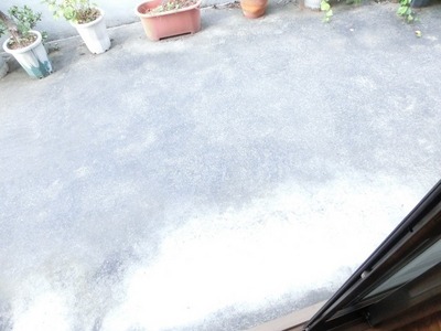 Balcony. On-site garden