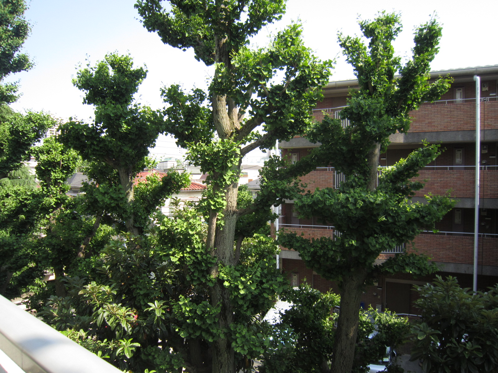 View. Southeast of view