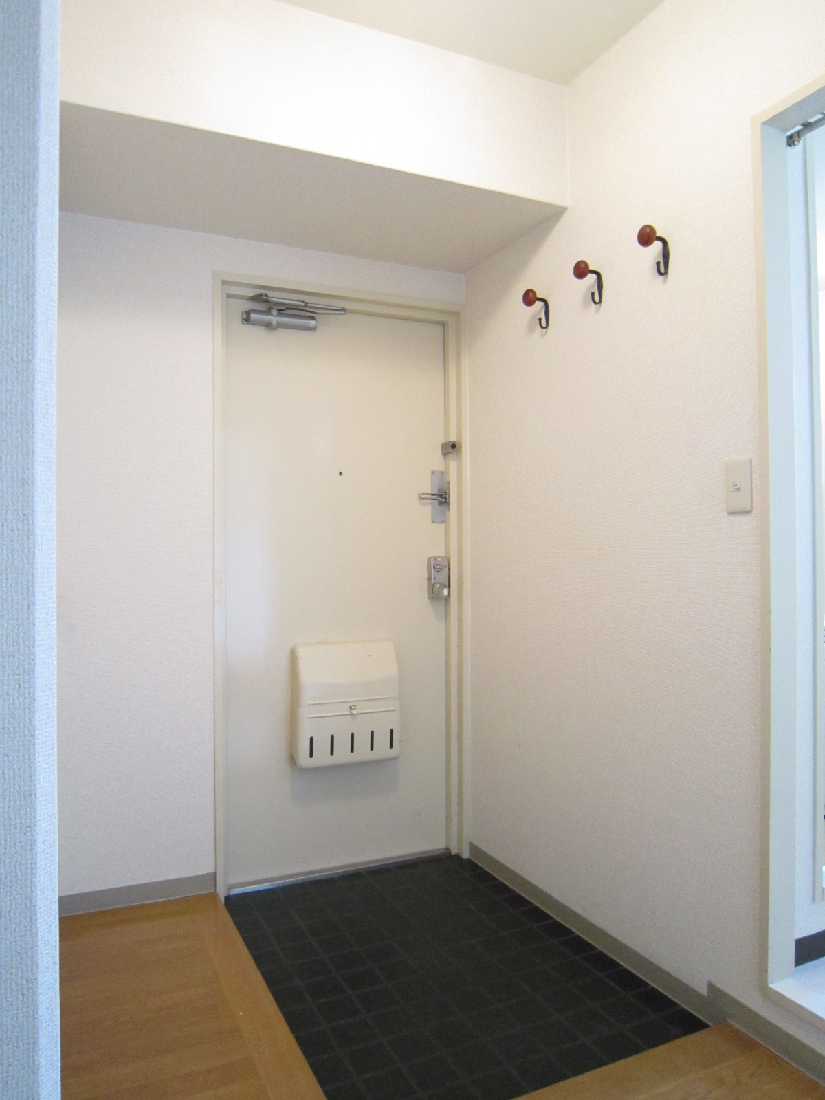 Entrance. Widely is the entrance with a space