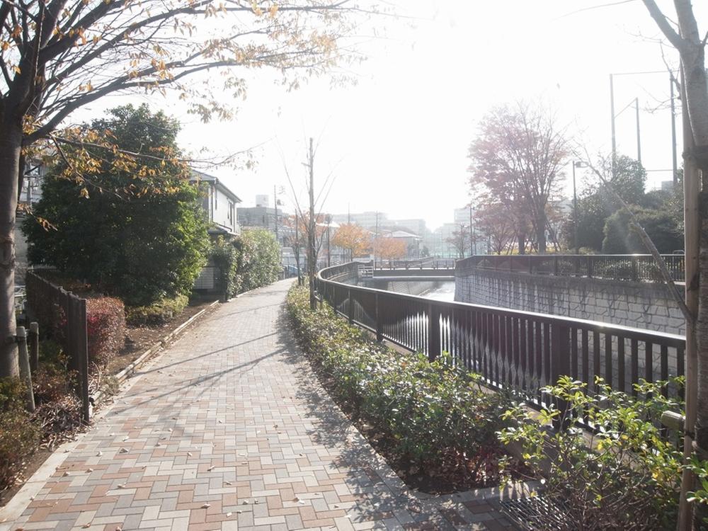 Local photos, including front road