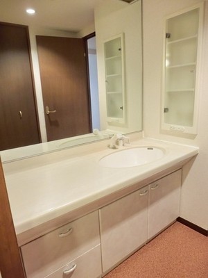 Washroom. Independent wash basin