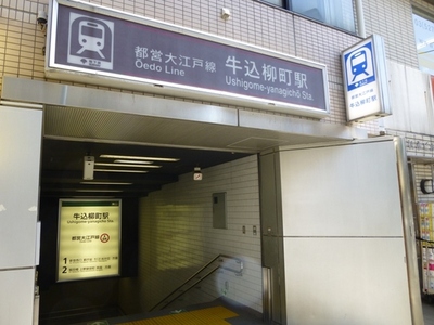 Other. Ushigome Yanagicho 670m to the station (Other)