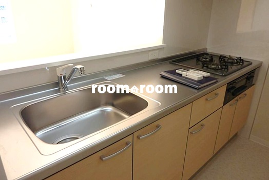 Kitchen. Grill kitchen