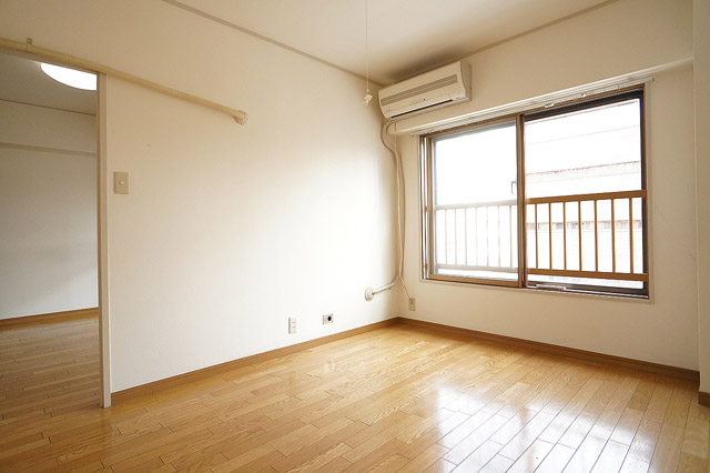 Living and room. Bright living room