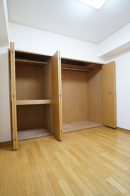 Living and room. Large closet with a storage capacity