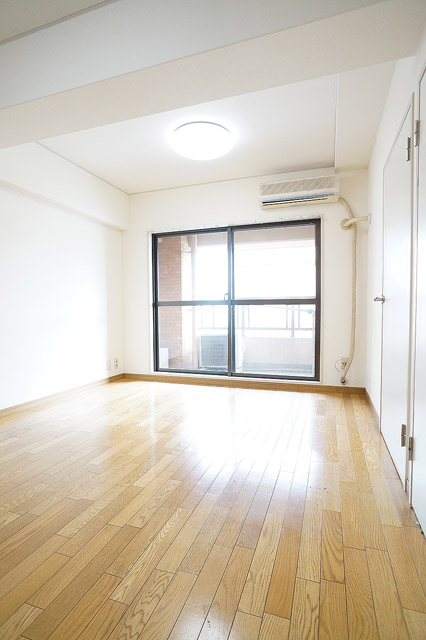 Living and room. Living with a lighting surface