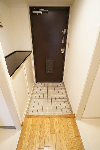 Entrance. Shoes BOX (top plate storeroom)