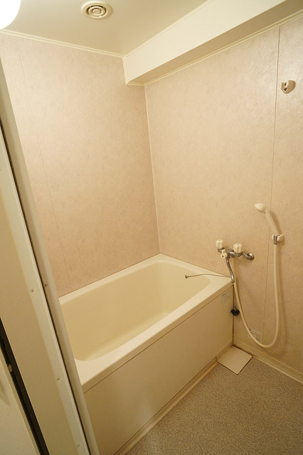 Bath. Bathroom with cleanliness