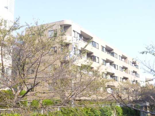 Local appearance photo. Appearance (1)