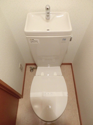 Toilet. Western-style toilet